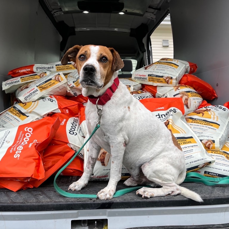 MSPCA-Angell Community Outreach Video