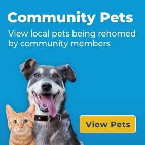 Community Pets Banner