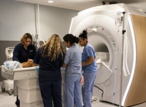 Technicians prep a canine patient