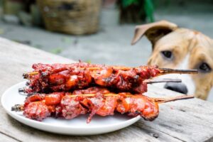 dog-skewer-web
