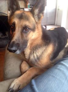Just look at this handsome face!
